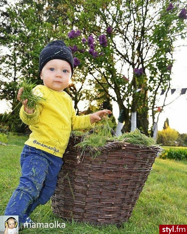 Nasze maluchy Dziecko