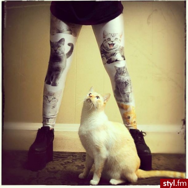Leginsy Spodnie Moda