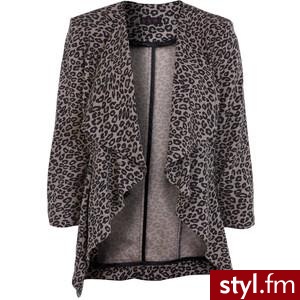 Zdjęcie dodane do bazy zdjęć Stylera - Styler