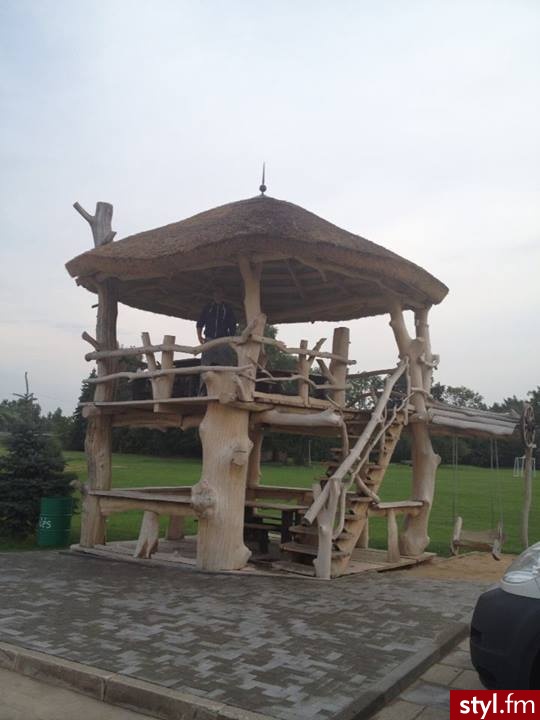 Ogród