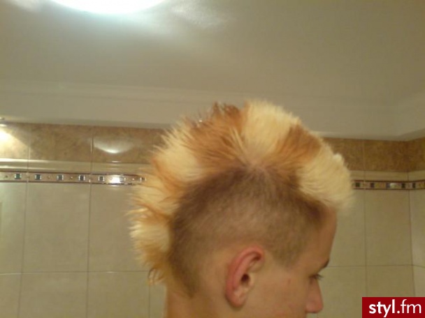 Punk Rock Alternatywne Średnie Fryzury