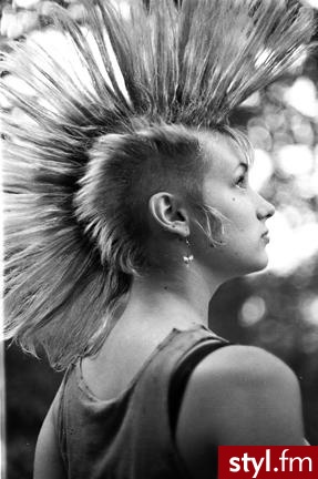 Punk Rock Alternatywne Średnie Fryzury