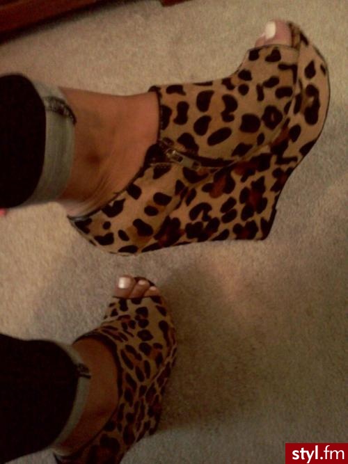Koturny Buty Moda