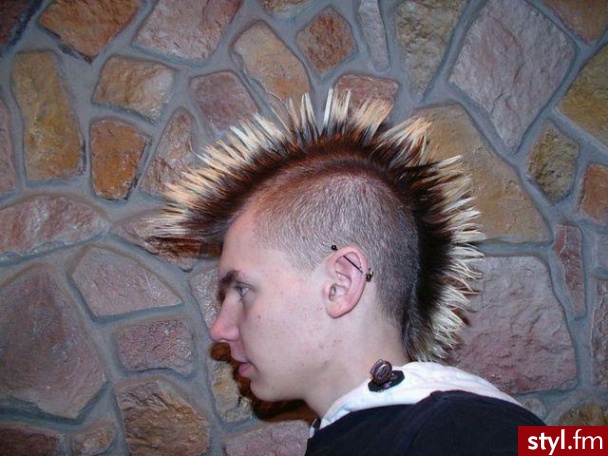 Punk Rock Alternatywne Średnie Fryzury