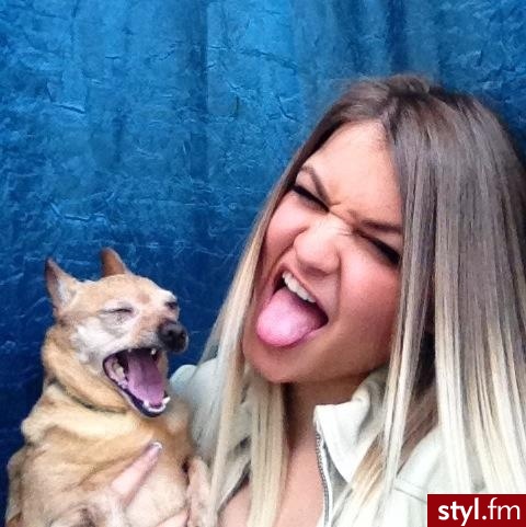Psy Zwierzaki