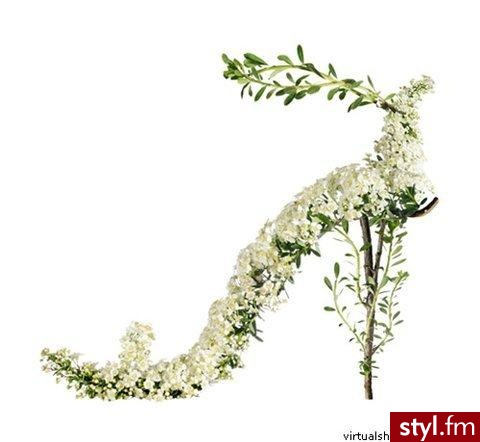 Najdziwniejsze buty świata - Michel Tcherevkoff
http://www.papilot.pl/moda/news/2008/10/1875-najdziwniejsze-buty-swiat

part 1 - Pozostałe Buty Moda