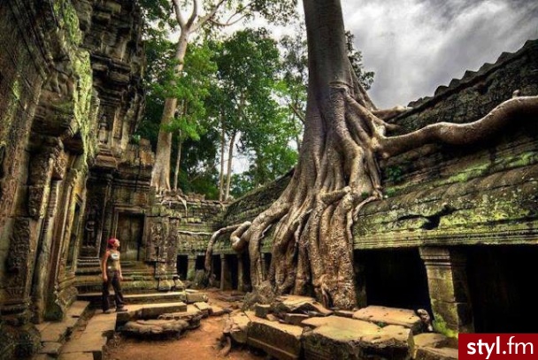 Świątynia Ta Prohm, Kambodża. - Podróże i miejsca