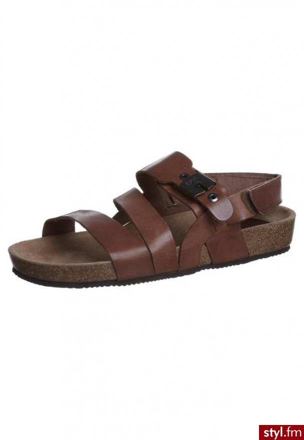 Scholl ISIDRO Sandały brązowy Sandały Odcienie beżu i brązu - Sandały Buty Moda