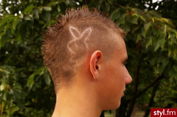 Punk Rock Alternatywne Średnie Fryzury