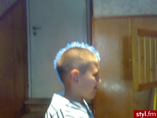 Punk Rock Alternatywne Średnie Fryzury