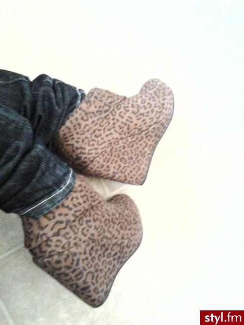 Koturny Buty Moda