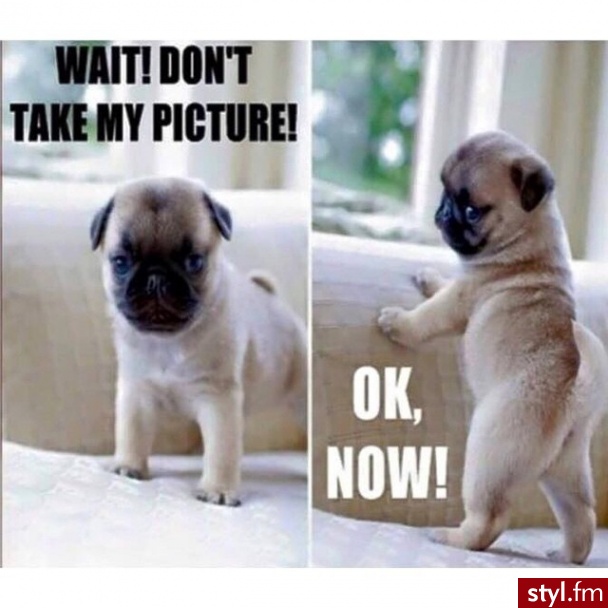 Humor