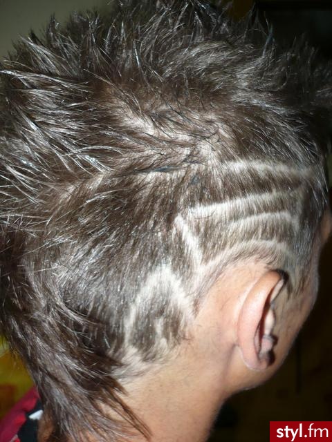 Punk Rock Alternatywne Średnie Fryzury