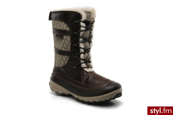 Columbia PÓŁBUTY I BOTKI HEATHER CANYON WP BY COLUMBIA (Brązowy) - Botki Buty Moda