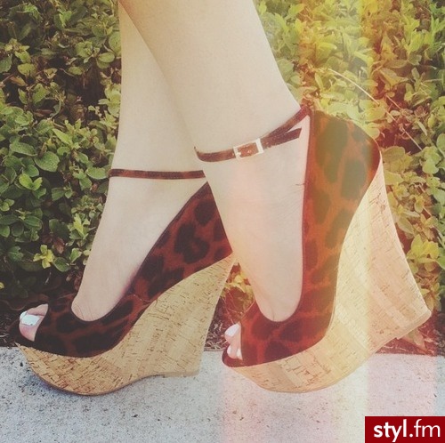 Koturny Buty Moda