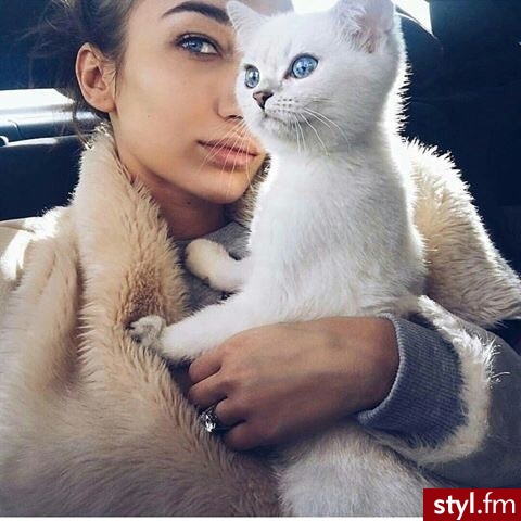 Misz-masz
