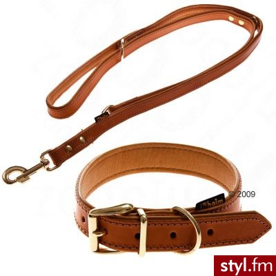 Skórzana obroża i smycz Buffalo, koniakowe - Smycz i obroża 60 cm / 25 mm - Psy Zwierzaki