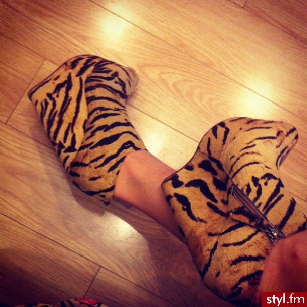Koturny Buty Moda