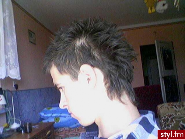 Punk Rock Alternatywne Średnie Fryzury
